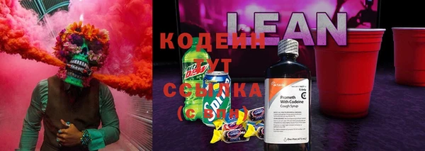 прущие грибы Алексеевка