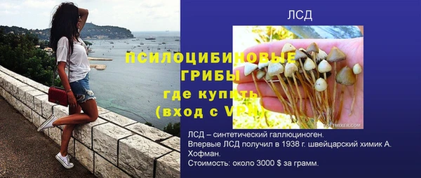 прущие грибы Алексеевка