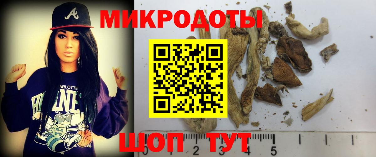 Красноуфимск  закладка  Вход с VPN  Псилоцибиновые грибы Cubensis 